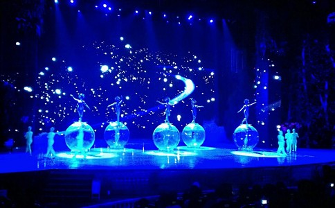 不同类型体育有什么特点